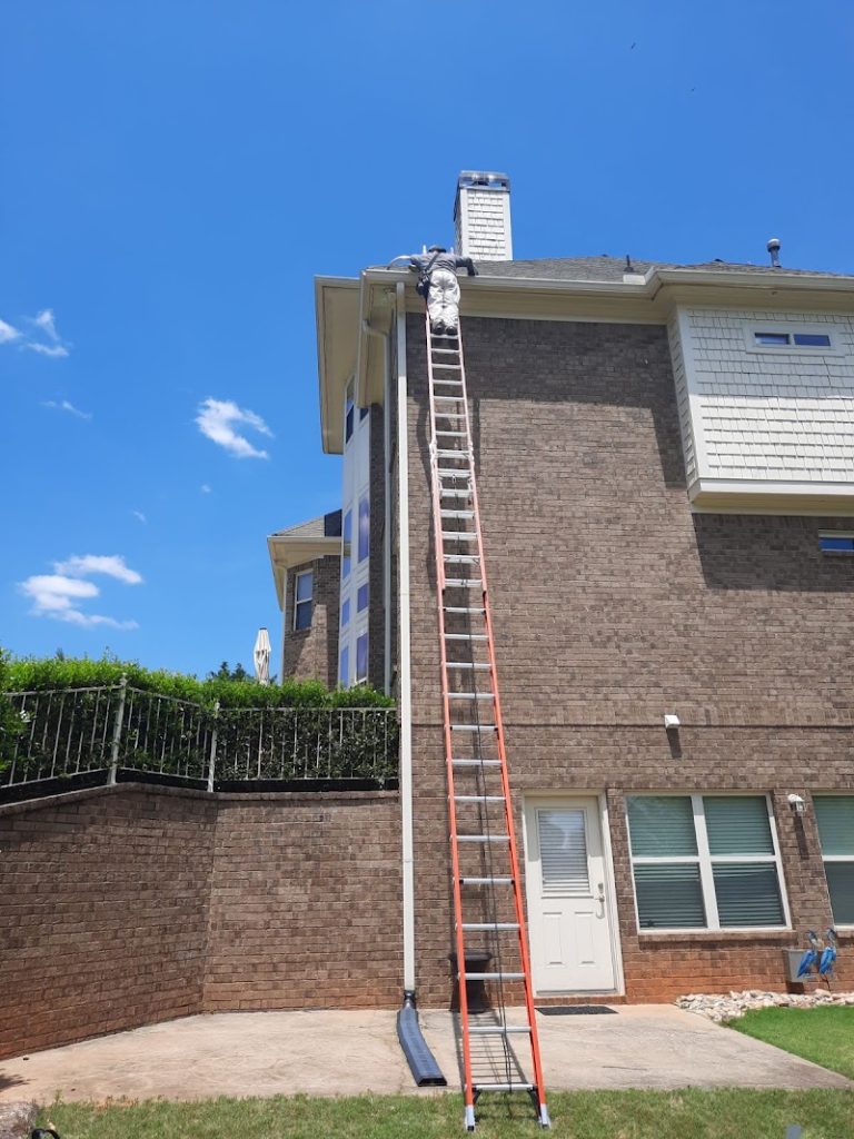 Technician on ladder performing roofline and exclusion work
