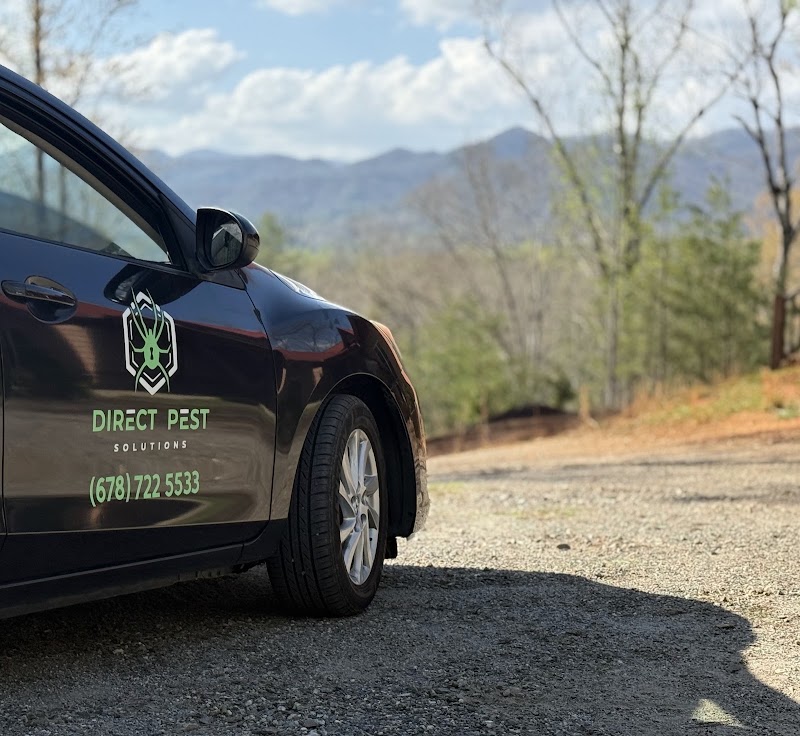 Direct Pest Solutions branded pest control vehicle in Locust Grove, GA